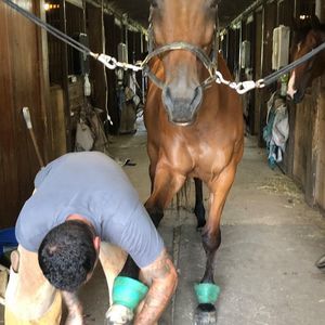 Meet your Posher, Tom